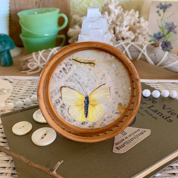 Other - Vintage Butterfly Coaster 🦋